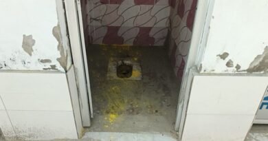 सरकारी धन की बंदरबांट: अर्री में लाखों का सामुदायिक शौचालय बना ‘बकरी शेड’, जिम्मेदार मौन