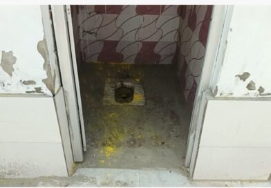 सरकारी धन की बंदरबांट: अर्री में लाखों का सामुदायिक शौचालय बना ‘बकरी शेड’, जिम्मेदार मौन