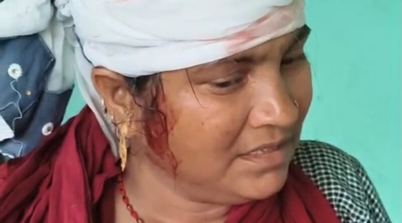 सिद्धार्थनगर: बकरी चराने गई महिला पर दबंगों का खूनी हमला, धारदार हथियार से सिर फोड़ा, हालत नाजुक