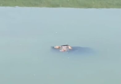 सिद्धार्थनगर: शोहरतगढ़ में दिल दहला देने वाली वारदात, सरयू नहर में मिला जीवित महिला के साथ बेटी का शव, ससुराल पक्ष पर हत्या का आरोप सिद्धार्थनगर: शोहरतगढ़ में दिल दहला देने वाली वारदात, सरयू नहर में मिला जीवित महिला के साथ बेटी का शव, ससुराल पक्ष पर हत्या का आरोप