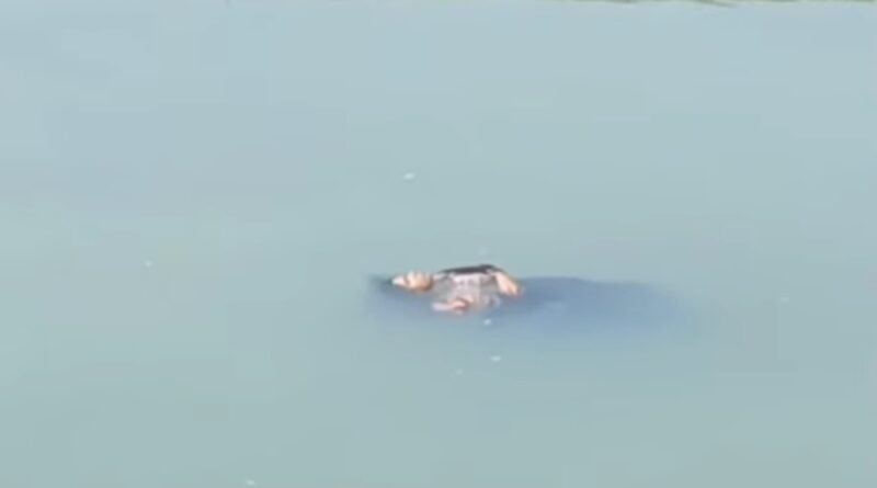 सिद्धार्थनगर: शोहरतगढ़ में दिल दहला देने वाली वारदात, सरयू नहर में मिला जीवित महिला के साथ बेटी का शव, ससुराल पक्ष पर हत्या का आरोप सिद्धार्थनगर: शोहरतगढ़ में दिल दहला देने वाली वारदात, सरयू नहर में मिला जीवित महिला के साथ बेटी का शव, ससुराल पक्ष पर हत्या का आरोप