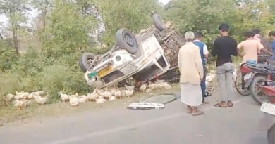 NH-730 पर अनियंत्रित होकर पलटी मुर्गियों से लदी पिकअप, मची अफरा-तफरी