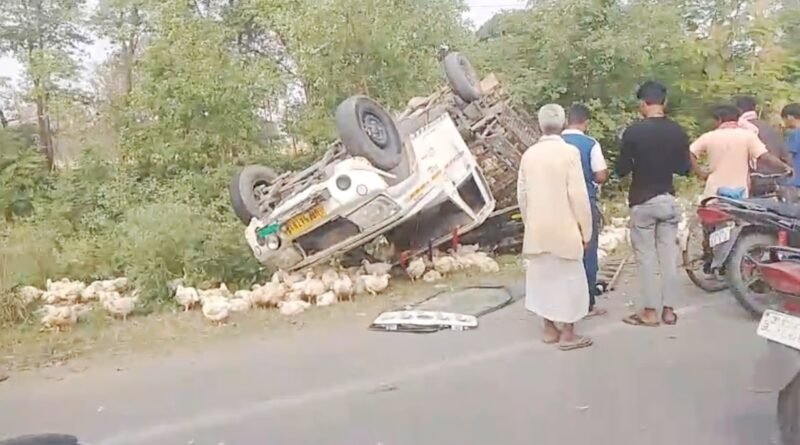 NH-730 पर अनियंत्रित होकर पलटी मुर्गियों से लदी पिकअप, मची अफरा-तफरी