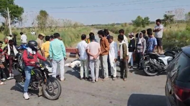 सिद्धार्थनगर: तेज रफ्तार पिकअप ने बाइक को रौंदा, इकलौते बेटे की दर्दनाक मौत, एक घायल