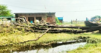 सिद्धार्थनगर: तेज आंधी का कहर, विशालकाय पेड़ की चपेट में आने से युवक गंभीर रूप से घायल