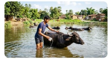 भैंस नहलाने गया 19 वर्षीय युवक पोखरे में डूबा, मौत से पूरे इलाके में पसरा मातम