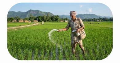 खाद संकट पर विधायक ने उठाए सवाल; डीएम से बिक्री बहाल कराने की मांग, कृषि विभाग ने कहा- स्टॉक पर्याप्त