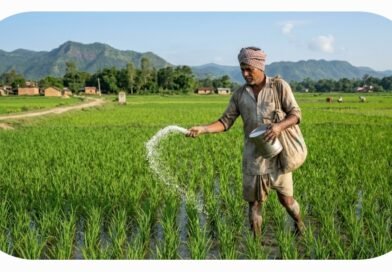 खाद संकट पर विधायक ने उठाए सवाल; डीएम से बिक्री बहाल कराने की मांग, कृषि विभाग ने कहा- स्टॉक पर्याप्त