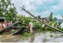 मौसम का कहर: सिद्धार्थनगर में आंधी-पानी से भारी तबाही, पेड़ के नीचे दबकर महिला की मौत, बिजली सप्लाई ठप