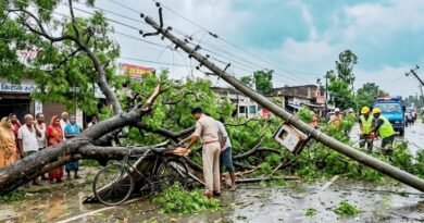 मौसम का कहर: सिद्धार्थनगर में आंधी-पानी से भारी तबाही, पेड़ के नीचे दबकर महिला की मौत, बिजली सप्लाई ठप