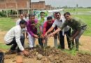एक पेड़ मां के नाम: उसका बाजार में गूंजा पर्यावरण संरक्षण का संदेश, कान्हा गौशाला में हुआ वृहद पौधारोपण