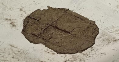 डीएम के विद्यालय बंद आदेश की खुली पोल: बंदी के बावजूद खुला आंगनबाड़ी केंद्र, पढ़ाई के दौरान छत का प्लास्टर गिरा, बड़ा हादसा टला