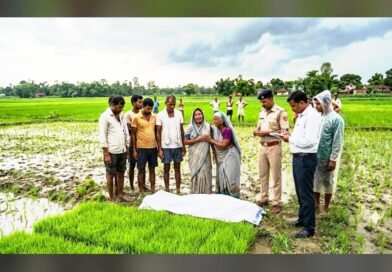 सिद्धार्थनगर: धान की नर्सरी काट रहे अधेड़ पर गिरी बिजली, मौके पर ही मौत सिद्धार्थनगर: धान की नर्सरी काट रहे अधेड़ पर गिरी बिजली, मौके पर ही मौत