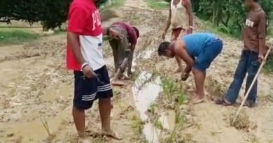 सड़क मांगी थी, खेत मिल गया! कीचड़ से लथपथ राहों पर ग्रामीणों ने बोई ‘विकास’ की फसल
