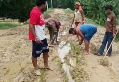 सड़क मांगी थी, खेत मिल गया! कीचड़ से लथपथ राहों पर ग्रामीणों ने बोई ‘विकास’ की फसल