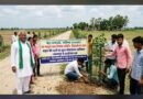 पेड़ लगाएं, भविष्य सजाएं: नव युवक ग्राम विकास समिति ने सड़क किनारे पौधारोपण और ट्री गार्ड लगाने की उठाई मांग