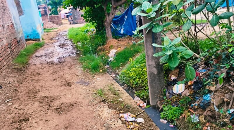 स्वच्छ भारत’ का कड़वा सच: 6 महीने से सफाई कर्मचारीविहीन दुधवानिया खुर्द गांव, गंदगी के अंबार के बीच जिम्मेदारों पर उठे सवाल