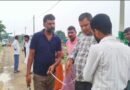 सिद्धार्थनगर: ग्राम प्रधान पर लगा नहर और सड़क की सरकारी भूमि पर मकान बनवाने का आरोप, CM पोर्टल पर शिकायत के बाद PWD ने की जांच
