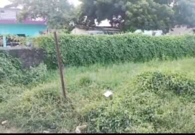 बड़ा सवाल: 12 हजार के जुर्माने के बाद क्या बच्चों को वापस मिल पाएगी उनकी खेलकूद और पढ़ाई की ज़मीन? बड़ा सवाल: 12 हजार के जुर्माने के बाद क्या बच्चों को वापस मिल पाएगी उनकी खेलकूद और पढ़ाई की ज़मीन?