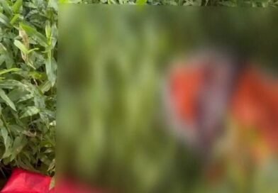 सिद्धार्थनगर में सड़क किनारे मिला नवजात शिशु, इलाके में मचा हड़कंप