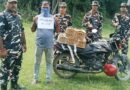 बढ़नी सीमा पर SSB की बड़ी कार्रवाई: 200 लिथियम बैटरी के साथ नेपाली नागरिक गिरफ्तार