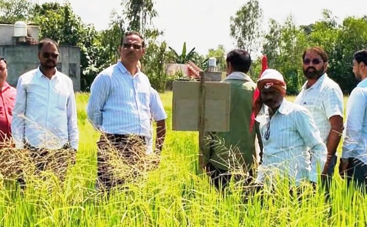 बकाया ऋण न चुकाने पर डुमरियागंज तहसील प्रशासन का बड़ा एक्शन, बकायेदार की जमीन कुर्क बकाया ऋण न चुकाने पर डुमरियागंज तहसील प्रशासन का बड़ा एक्शन, बकायेदार की जमीन कुर्क