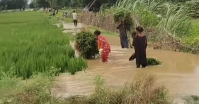 चक्रवाती तूफान ‘अर्नब’ व नेपाल से आई पहाड़ी नदियों का कहर: सिद्धार्थनगर में भारी तबाही, 3 दिनों से लगातार बारिश से जनजीवन अस्त-व्यस्त