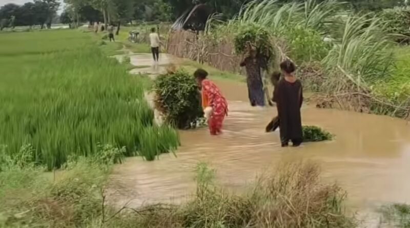 चक्रवाती तूफान ‘अर्नब’ व नेपाल से आई पहाड़ी नदियों का कहर: सिद्धार्थनगर में भारी तबाही, 3 दिनों से लगातार बारिश से जनजीवन अस्त-व्यस्त चक्रवाती तूफान ‘अर्नब’ व नेपाल से आई पहाड़ी नदियों का कहर: सिद्धार्थनगर में भारी तबाही, 3 दिनों से लगातार बारिश से जनजीवन अस्त-व्यस्त