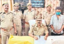सिद्धार्थनगर में नशीली दवाओं पर पुलिस का शिकंजा: 238 शीशी कोडीन सिरप और 500 टैबलेट बरामद, एक गिरफ्तार