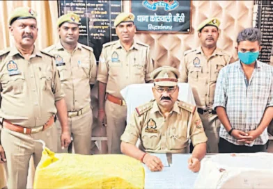 सिद्धार्थनगर में नशीली दवाओं पर पुलिस का शिकंजा: 238 शीशी कोडीन सिरप और 500 टैबलेट बरामद, एक गिरफ्तार सिद्धार्थनगर में नशीली दवाओं पर पुलिस का शिकंजा: 238 शीशी कोडीन सिरप और 500 टैबलेट बरामद, एक गिरफ्तार