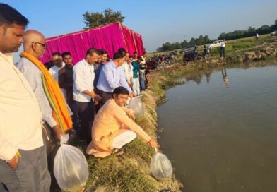 विकासखंड शोहरतगढ़ के गोनचौरा में मत्स्य बीज वितरण एवं संचयन कार्यक्रम आयोजित