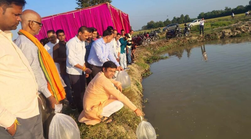 विकासखंड शोहरतगढ़ के गोनचौरा में मत्स्य बीज वितरण एवं संचयन कार्यक्रम आयोजित