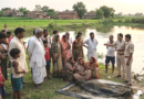 लोटन: भैंस को बचाने तालाब में उतरे किसान की डूबने से दर्दनाक मौत, परिजनों में मचा कोहराम