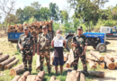 भारत-नेपाल सीमा पर SSB की बड़ी कार्रवाई: 124 बोटा सागौन लकड़ी और ट्रैक्टर-ट्रॉली जब्त, एक आरोपी गिरफ्तार