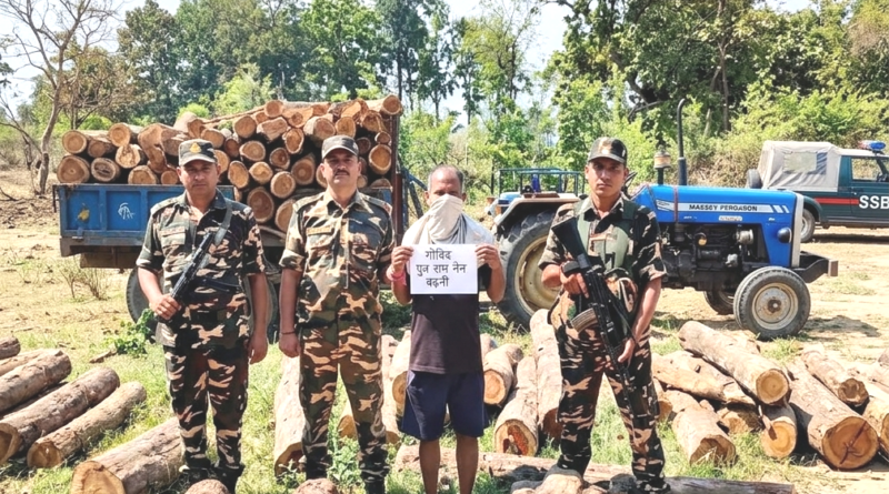 भारत-नेपाल सीमा पर SSB की बड़ी कार्रवाई: 124 बोटा सागौन लकड़ी और ट्रैक्टर-ट्रॉली जब्त, एक आरोपी गिरफ्तार