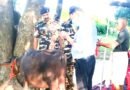 भारत-नेपाल सीमा पर SSB की जनकल्याणकारी पहल: वाइब्रेंट विलेज में लगा निःशुल्क पशु चिकित्सा शिविर, 102 पशुओं का हुआ इलाज